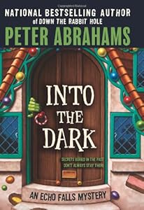 Into the Dark (Echo Falls Mysteries)