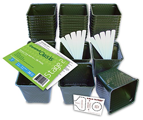 Algopix Similar Product 15 - Set of 36 Plastic Nursery Plant