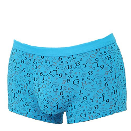 Men's Underwear Comfort Boxer Briefs Trunk 1 Pack