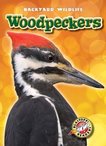 Woodpeckers by Kari Schuetz
