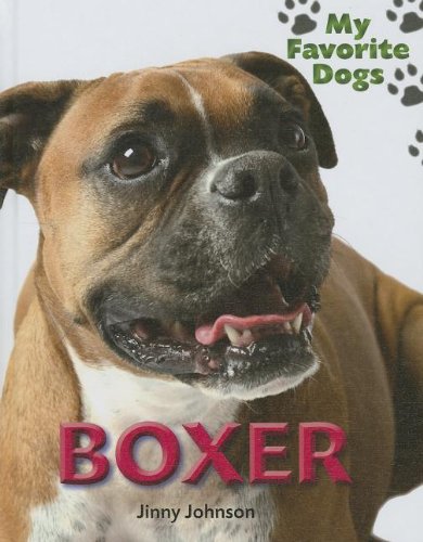 Boxer by Jinny Johnson