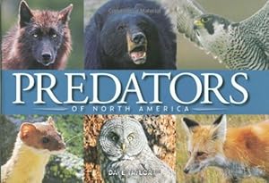 Predators of North America