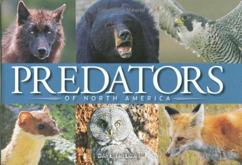 Predators of North America by Dave Taylor