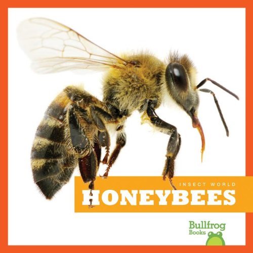Honeybees by Mari Schuh