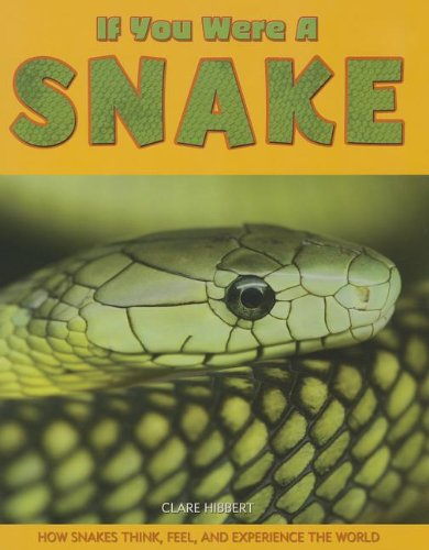 If you were a snake by Clare Hibbert