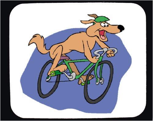 Dog on a Bicycle