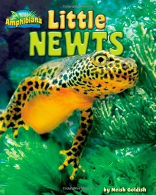 Little Newts
