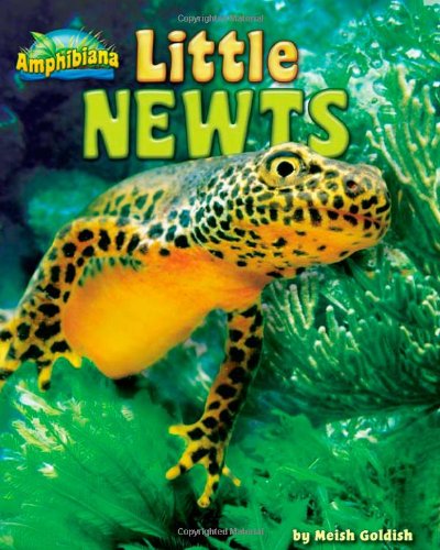 Little Newts by Meish Goldish