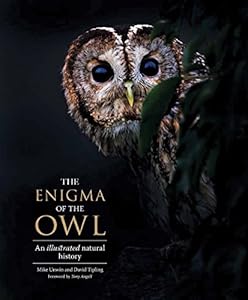 The Enigma of the Owl: An Illustrated Natural History