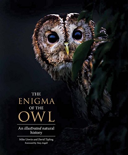 The Enigma of the Owl: An Illustrated Natural History by Mike Unwin