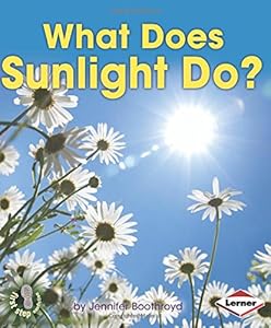 What Does Sunlight Do?