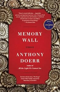 Memory Wall: Stories