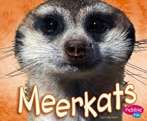 Meerkats