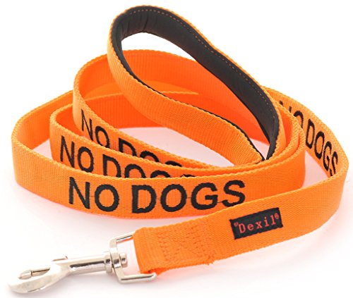 NO DOGS Orange Color Coded Nylon 4 Foot Padded Dog Leash (Not Good with Other Dogs), Prevents Accidents By Warning Others of Your Dog in Advance