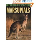 Marsupials