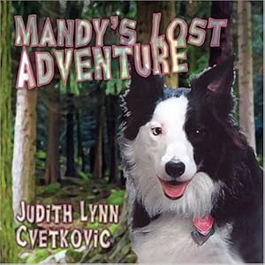 Mandy's Lost Adventure by Judith Lynn Cvetkovic