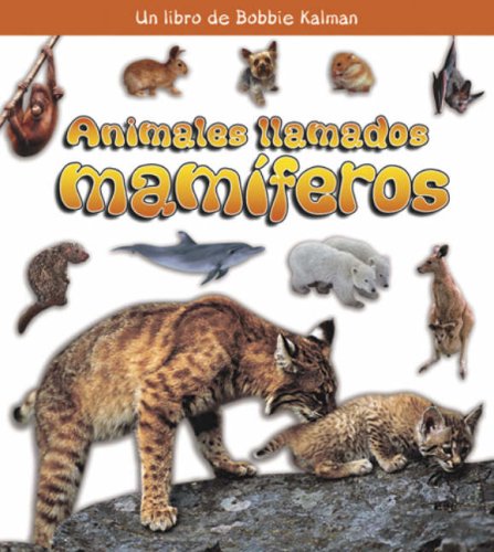 Animales Llamados Mamiferos/ Animals Called Mammals (Que Tipo De Animal Es? / What Kind of Animal Is It?) (Spanish Edition) by Bobbie Kalman