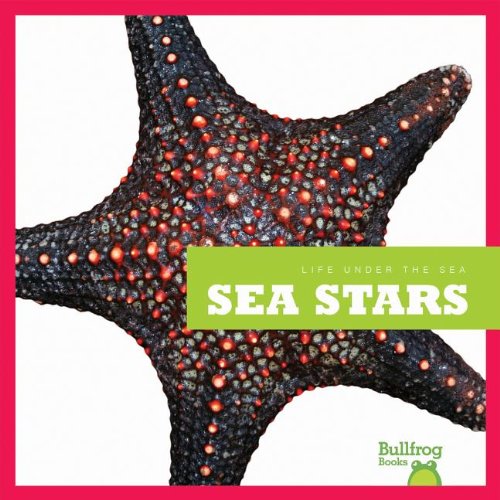 Sea Stars by Cari Meister