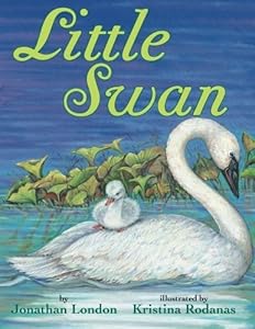 Little Swan