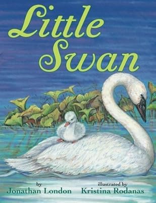 Little Swan