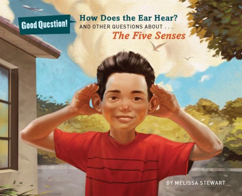 How Does the Ear Hear?: And Other Questions about The Five Senses by Melissa Stewart