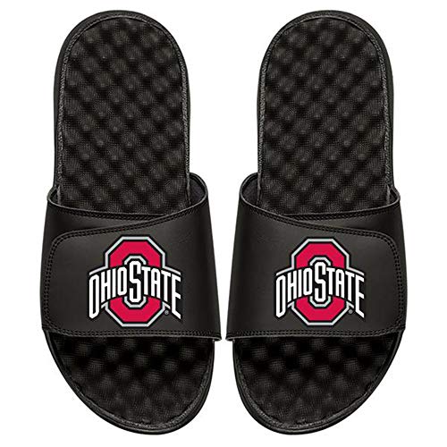 Algopix Similar Product 14 - ISlide Ohio State University Buckeyes