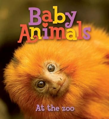 Baby Animals At the Zoo