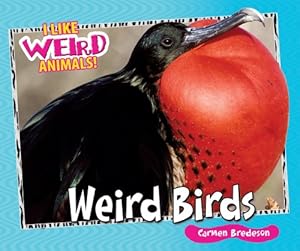 Weird Birds