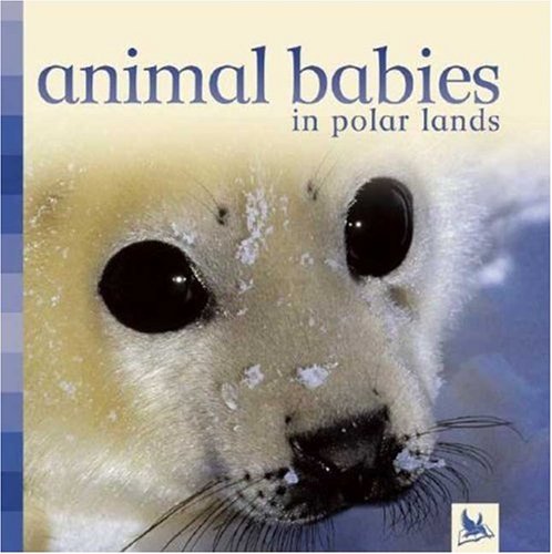 Animal Babies in Polar Lands by Editors of Kingfisher