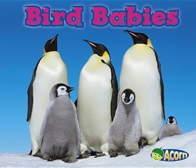 Bird Babies