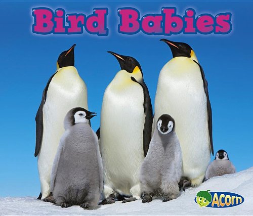 Bird Babies by Catherine Veitch