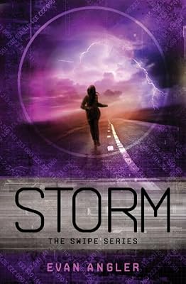 Storm (Swipe Book 3)