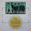 The Wild Boys