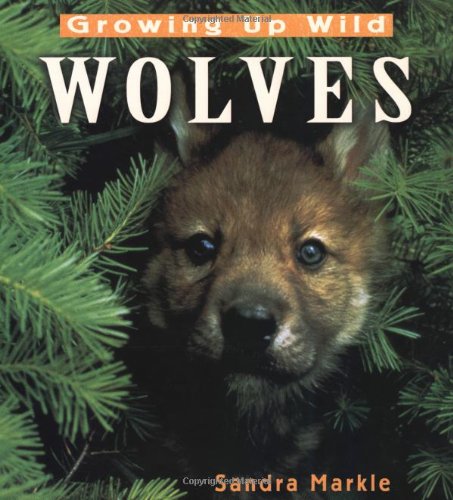 Growing Up Wild: Wolves by Sandra Markle