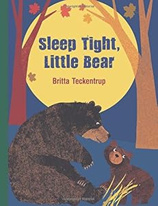 Sleep Tight Little Bear