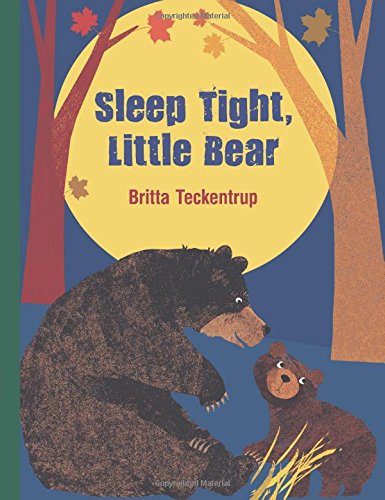 Sleep Tight Little Bear by Britta Teckentrup