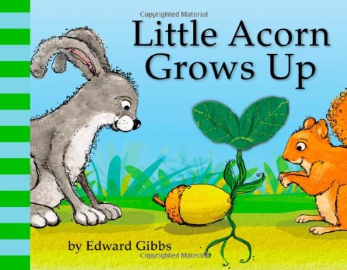 Little Acorn Grows Up by Edward Gibbs