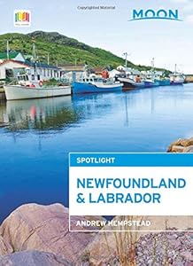 Moon Spotlight Newfoundland and Labrador by Andrew Hempstead