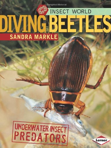 Diving Beetles: Underwater Insect Predators (Insect World) by Sandra Markle