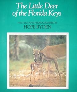 Little Deer of the Florida Keys