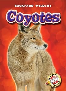 Coyotes by Emily Green