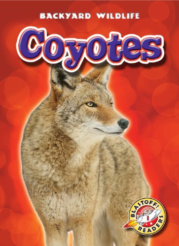 Coyotes by Emily Green