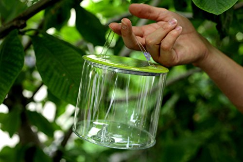 MPOWERD Luci Outdoor 2.0 - Inflatable Solar Light - Image 5