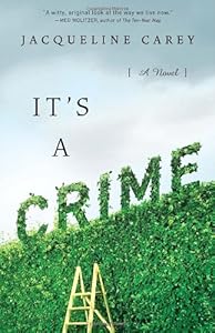 It's a Crime: A Novel