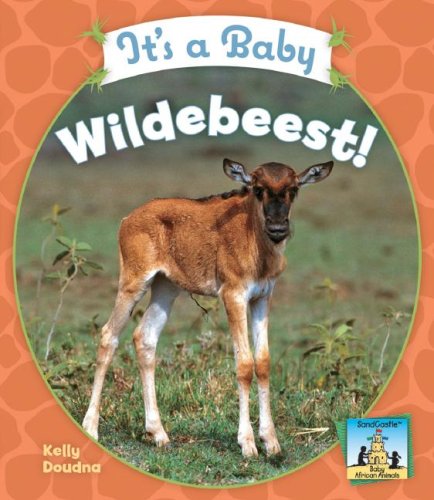 It's a Baby Wildebeest! (Sandcastle: Baby African Animals) by Kelly Doudna