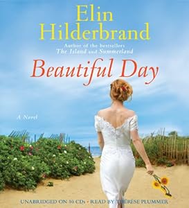 Beautiful Day: A Novel