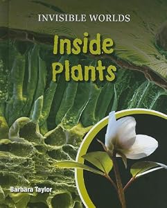 Inside Plants