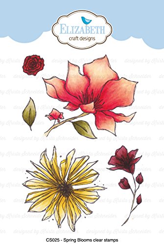 Algopix Similar Product 8 - Spring Blooms Clear Stamps