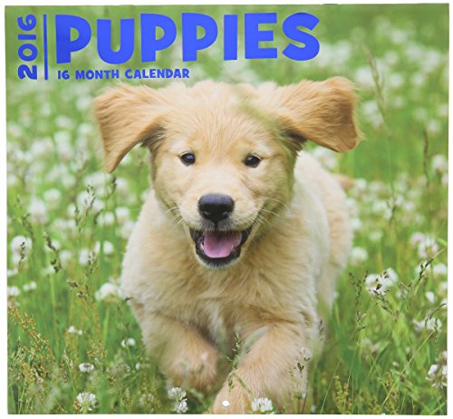 2016 Puppies 16 Month Wall Calendar