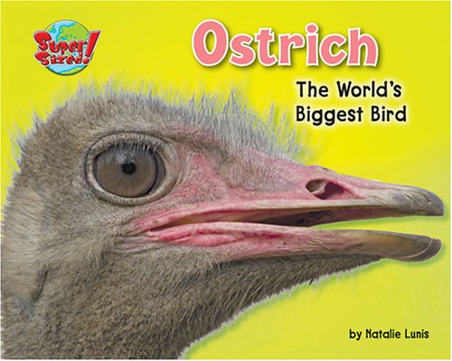 Ostrich: The World's Biggest Bird (Supersized!) by Natalie Lunis